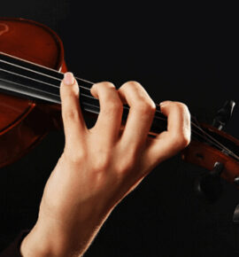 Violino
